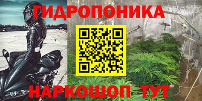 прущий лед Нальчик