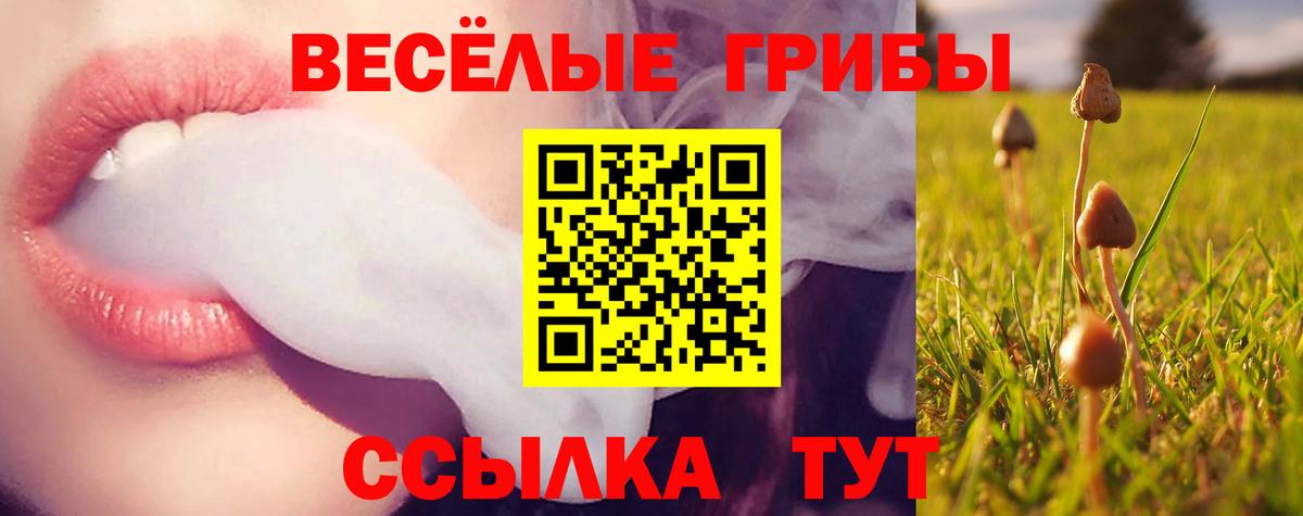 Псилоцибиновые грибы Psilocybine cubensis  Вход с VPN  Псилоцибиновые грибы GOLDEN TEACHER  Сокол 